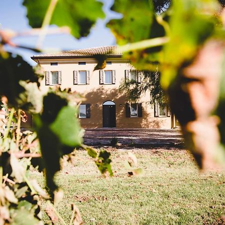 Agriturismo Vitae Fabbrico 외부 사진