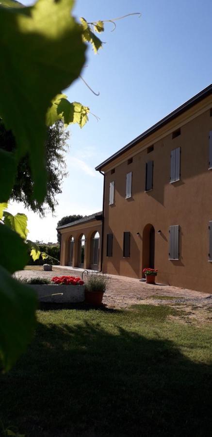 Agriturismo Vitae Fabbrico 외부 사진