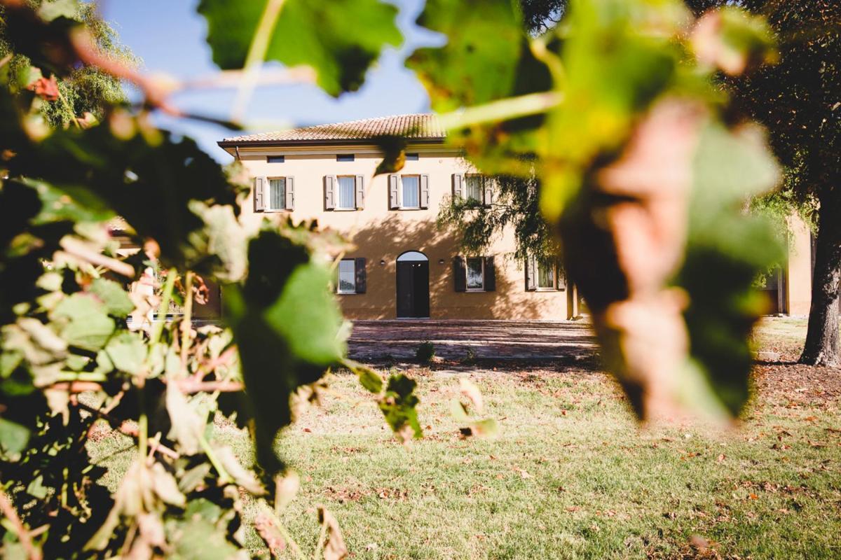 Agriturismo Vitae Fabbrico 외부 사진