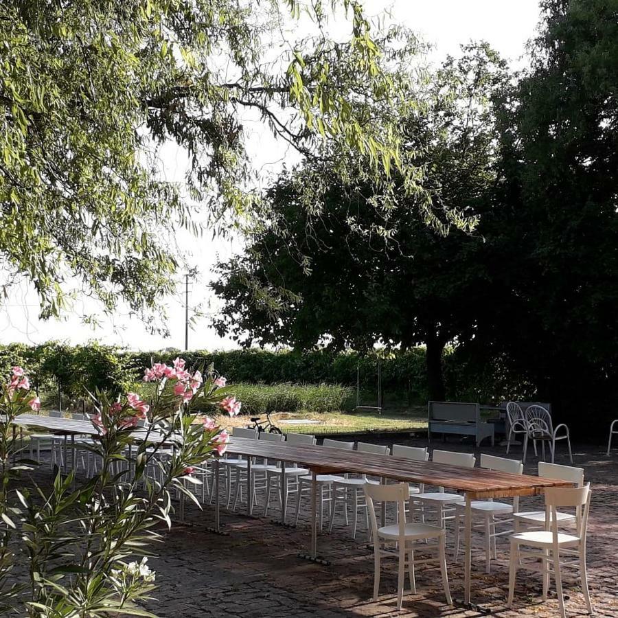 Agriturismo Vitae Fabbrico 외부 사진